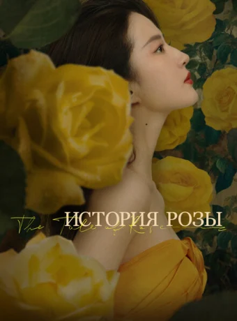 История розы — дорама онлайн